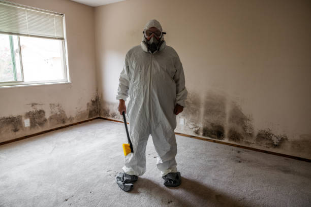 Best Localized Mold Remediation (e.g., coastal areas, humid climates) in Portage, WI